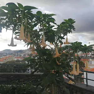 Casa Vanday , Funchal (Madeira) Portugal
